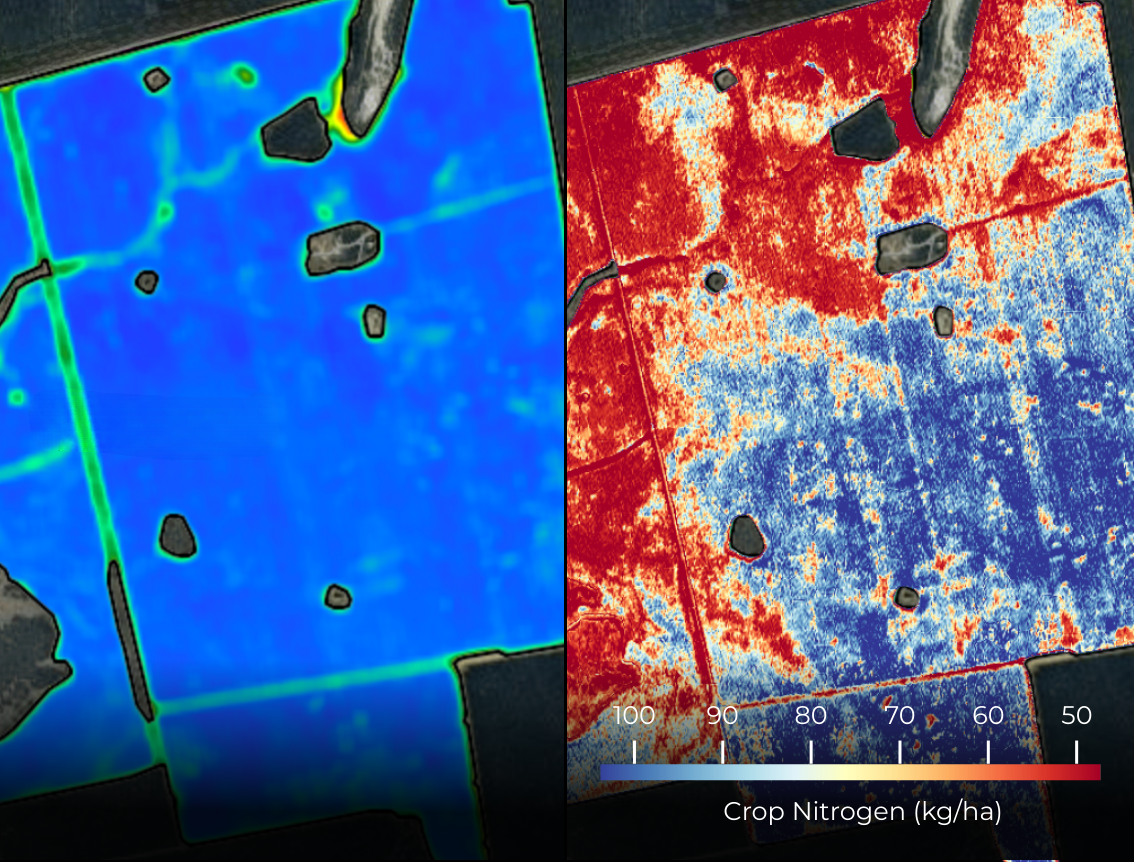 NDVI map versus Messium crop nitrogen map of the same field