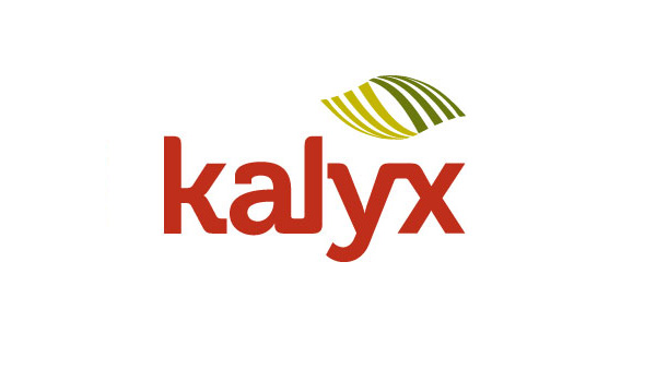 Kalyx
